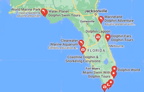 Where to swim with dolphins in Florida