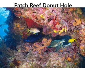 The Donut Hole at Patch Reef