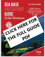 Sea Base SCUBA Participant Guide