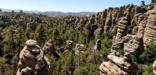 Standing rock formations with conifer trees