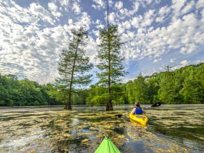 Mississippi River SP Beaver Pond 2018-05 KSJ_3530ps.jpg