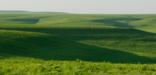 The setting sun over the Flint Hills casts shadows across the wide expanse of tallgrass prairie.