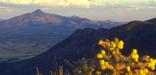 San Pedro River Valley from Montezuma Peak - D. Bly