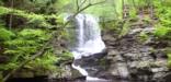 Fulmer Falls at George W. Childs Park